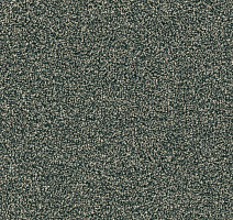 Ковровая плитка Modulyss Force Force 142 фото 1 | FLOORDEALER